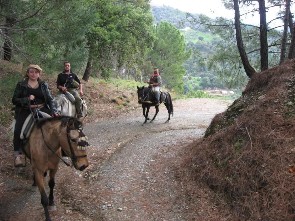 Posada Mirador De Jubrique Eksteriør billede