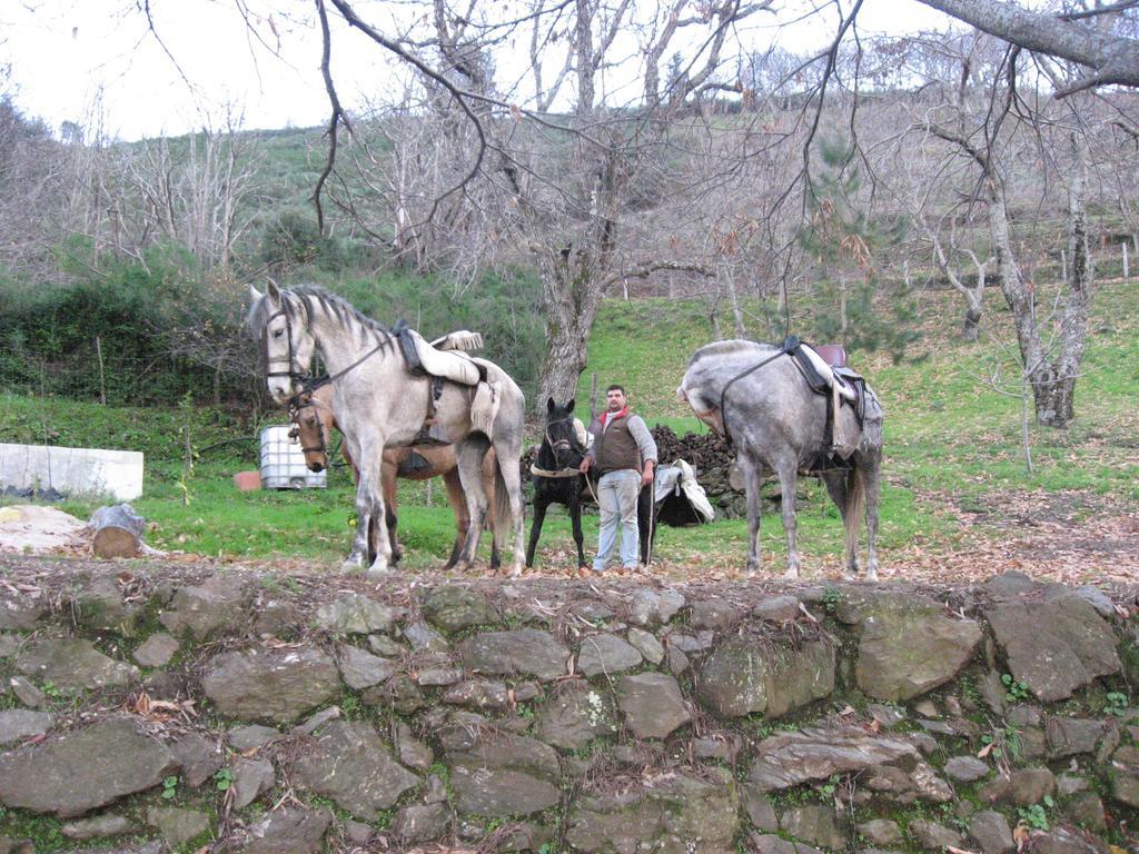 Posada Mirador De Jubrique Eksteriør billede